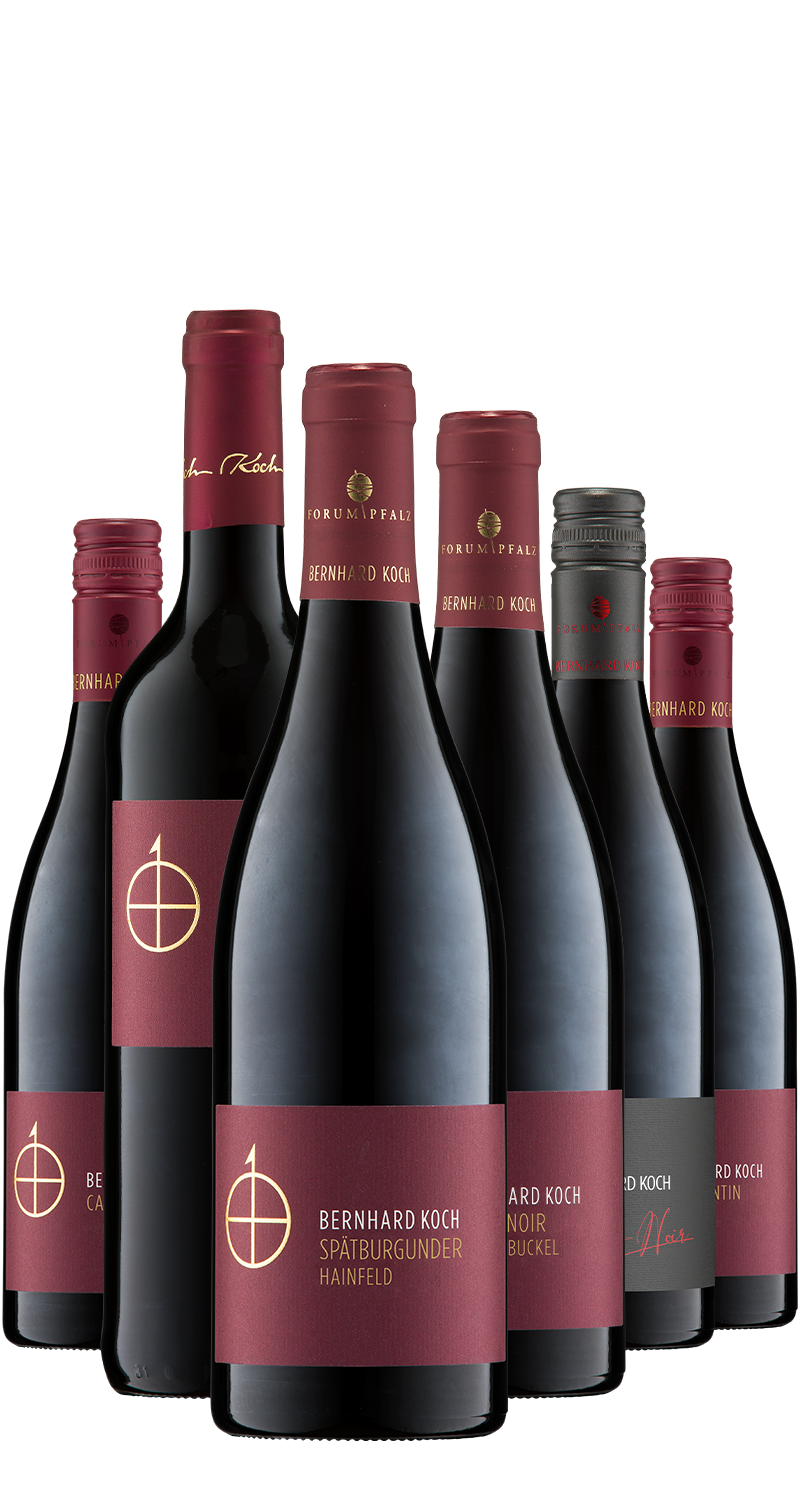 koch-probierpaket-rot