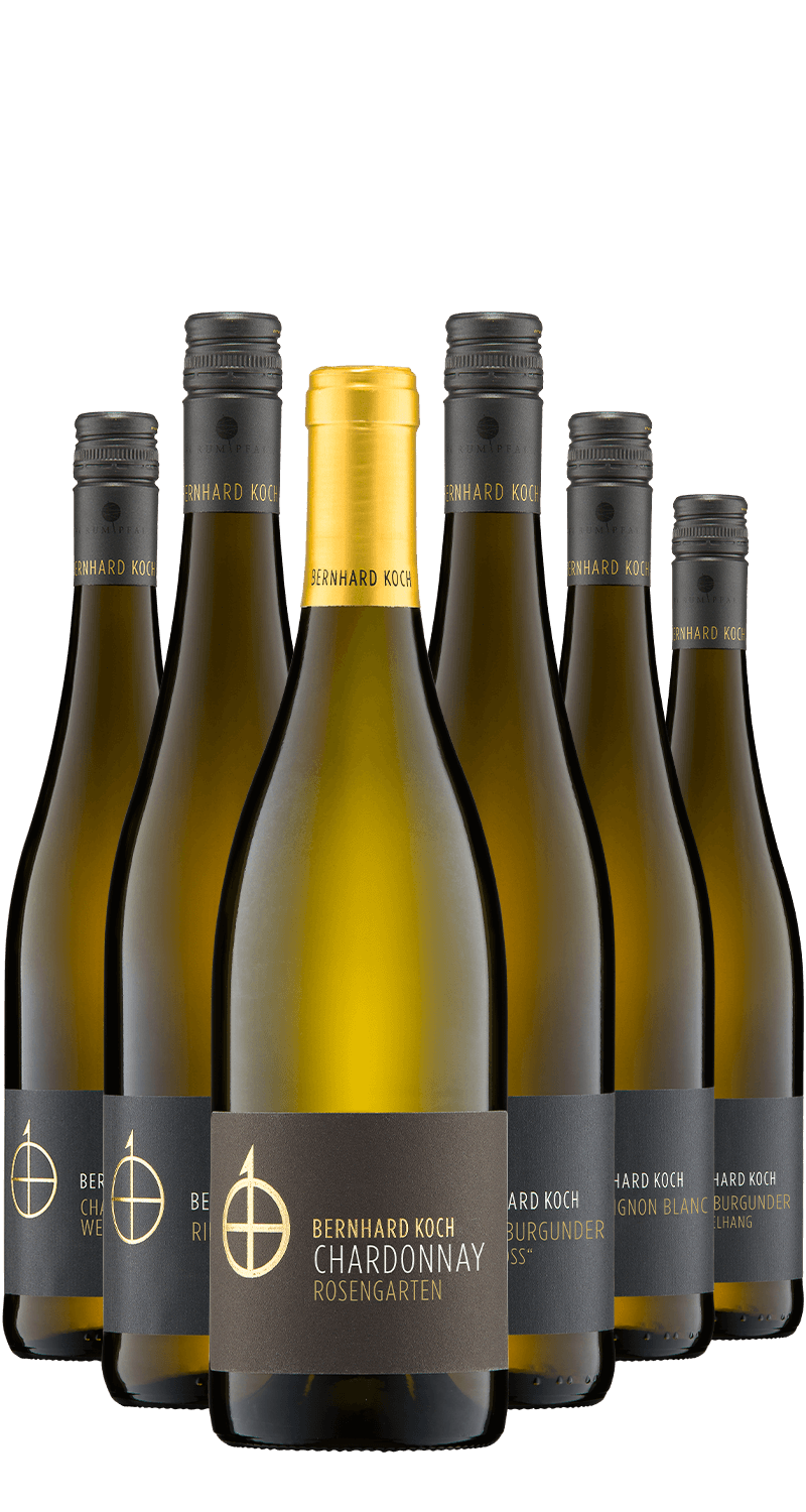 koch-probierpaket-weiss