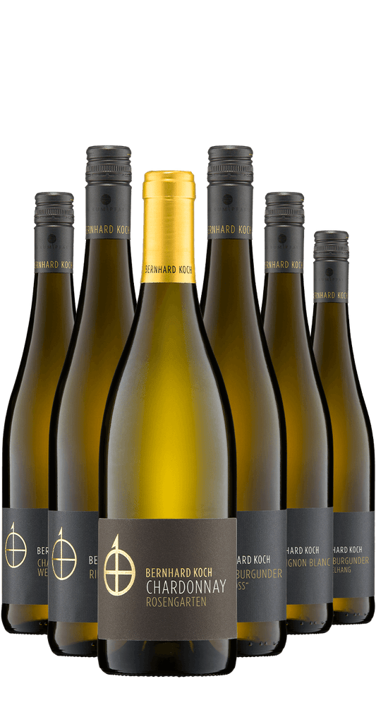 koch-probierpaket-weiss