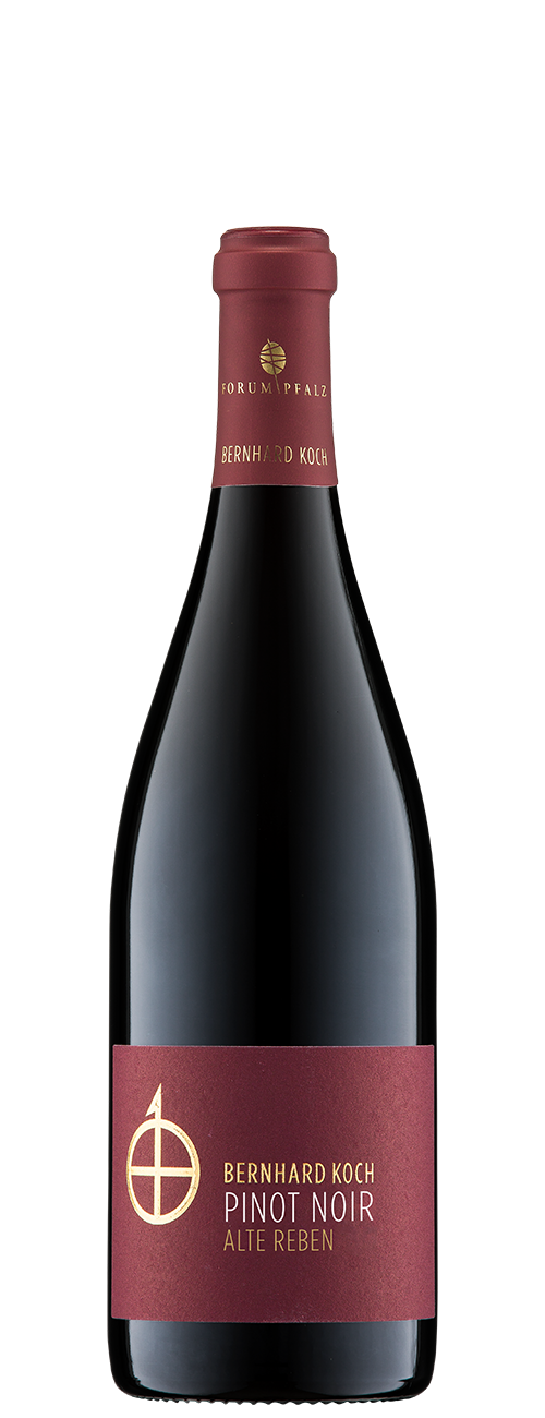 pinot-noir-alte-reben